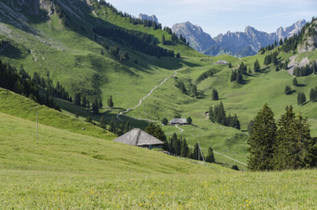 Les Gorges de l'Aar